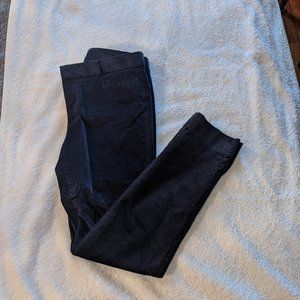 Banana Republic Sloan Velvet Pants (Blue)